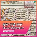 카림안경 네이버블로그
