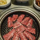 또올 이미지