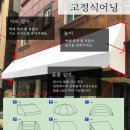 프로포즈야채;과일