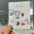 띵 | 부산 광안리 소품샵 추천 행운거북이 프레젠띵 바이 어도르 방문 후기