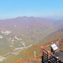 알프스공인중개사사무소 이미지