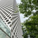 플레저성형외과의원 이미지