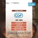 씨지에프 주식회사 네이버블로그