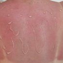 새사랑약국 | 팔라완 엘니도 4박5일 여행일정, 비용 후기 - 투어A, 병원, 낙판비치