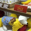 펫 파라다이스(pet paradise) | [도쿄] 펫 파라다이스(Pet Paradise) 시부야점 | 강아지 옷 선물