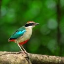 거제시문화예술회관 이미지