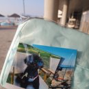 한울 | 시흥 반려견 자전거 대여 후기｜배곧 한울공원 ‘자전거 투개더’ 강아지랑 특별한 하루