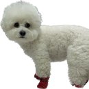 홍성불가마찜질방 | 연말에 뭐 하고 놀았게~