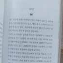 마이셀프 이미지