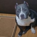 호텔아지트 이미지