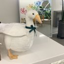 구스커피 이미지