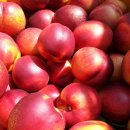 두런두런영농조합법인 이미지