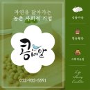 농업회사법인(주)콩세알 네이버블로그