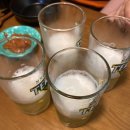 단비포차 이미지