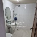 조양공인중개사사무소 이미지