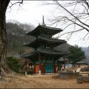 쌍봉사 사적비 이미지