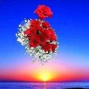 우리부자공인중개사사무소 이미지