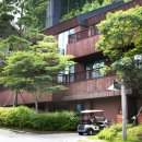 포레스트152