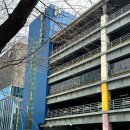 서초중앙로 14 | 남부터미널역 결혼식장 더화이트베일 웨딩홀 솔직한 하객 후기 (feat.27년 예신) 👰🏻‍♀️💒