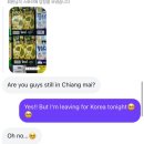 조이디제이 | 태국 치앙마이 조이인옐로우 펍 : 치앙마이 클럽 추천 👍🏻