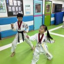 올바른 성장 태권도 이미지