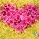 아름다운날들 이미지