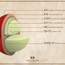 트라이앵글커피 이미지