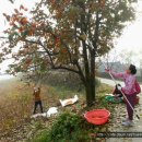 수만보건진료소 이미지