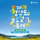 2025 청산도 유채꽃 슬로걷기 축제 완벽 가이드