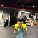 올라운더복싱 이미지