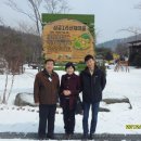 산채마을