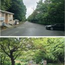 제928회차 5/20 남해 망운산(786 m) 산행예약 신청 이미지