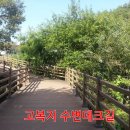 오봉산 맨발 등산로 Daum카페