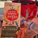 2024 부여 세도 유채꽃 방울토마토 축제 방문 후기