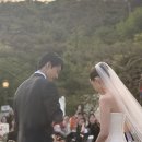 박정진