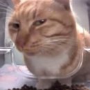 뜰봄갤러리 | 첫 단추를 잘못 꿰었을 땐 그냥 원래 그런 옷인 척