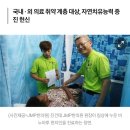 JMP한의원 네이버블로그