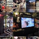 도그캐슬 강아지분양 다산점 이미지