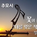 세월호 추모시 이미지