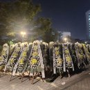 서울 국화축제 무료로한다길래 엄마랑 같이가려고 했는데 이미지