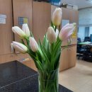 혜민의료재단 이미지