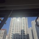 우미린에듀파크2단지경로당 | 실외기 비둘기 청소 후기 | 홈키퍼즈 비둘기퇴치...혐오주의) 청주 우미린에듀파크 2단지 비둘기 극혐...