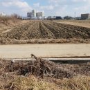 조리사거리 이미지