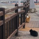 갈맷길 9-2코스 완보 후기(부산 걷기 좋은 곳, 부산 걷기 좋은 코스, 갈맷길 9-2구간 1월 완보 후기)