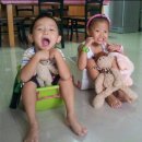 고시레미3 이미지