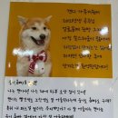 함께할개 사랑할개 이미지