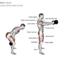 밸런스짐 PT 헬스 이미지