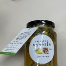 준테라스