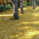 파주기산캠프 이미지