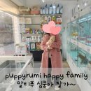 하늘이네 애견 미용 | 키우기 쉬운 회천 강아지 말티푸 분양 후기 가격